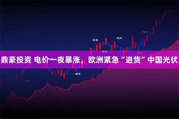 鼎豪投资 电价一夜暴涨，欧洲紧急“进货”中国光伏